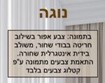 ⁦ארון פתיחה דגם נוגה⁩ – תמונה ⁦4⁩